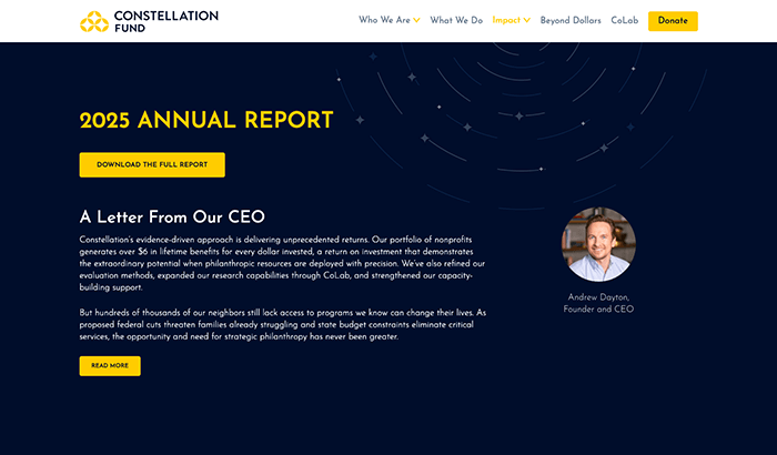 The Constellation Fund Annual Report 2025